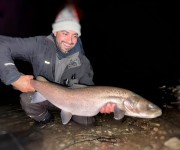 Hucho caught in the night winter fishing